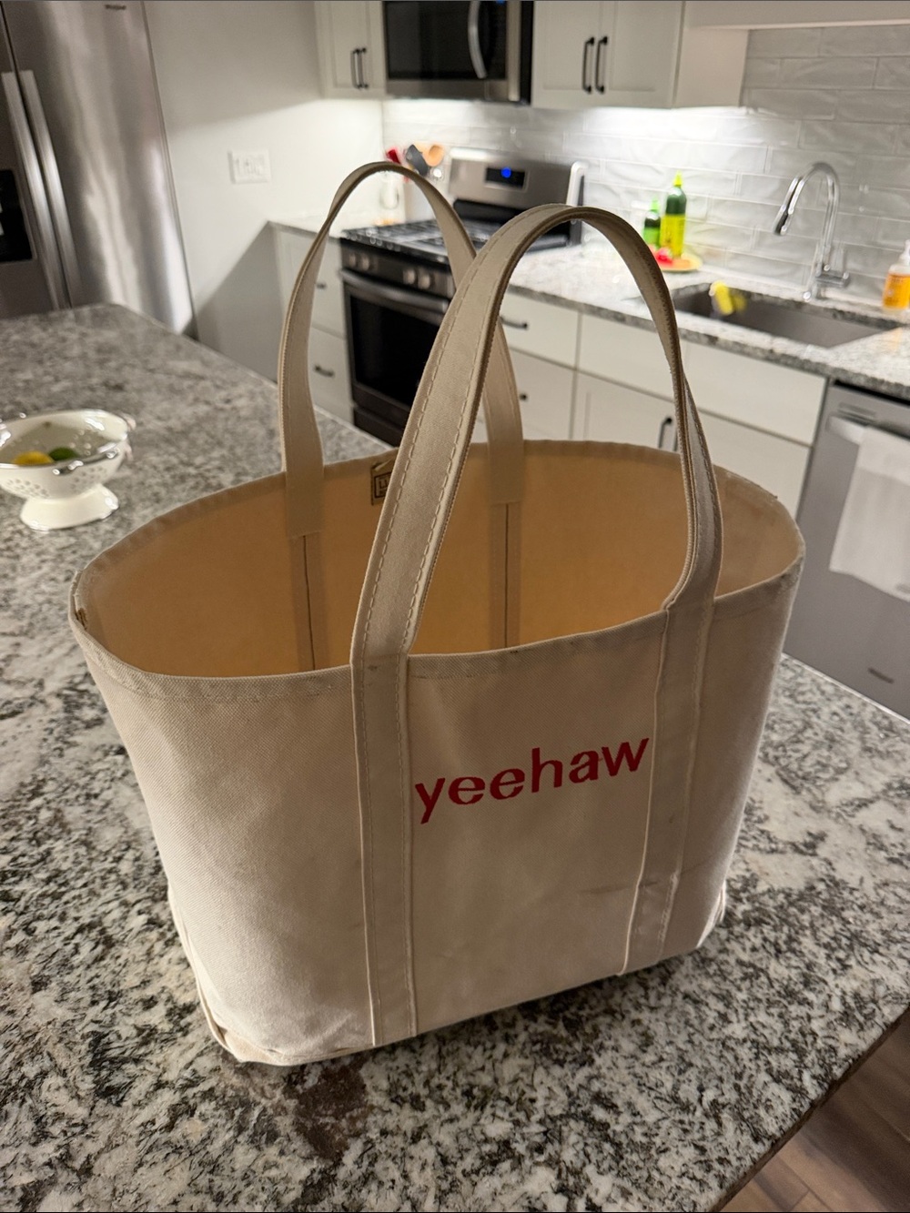 LL Bean Boat & Tote